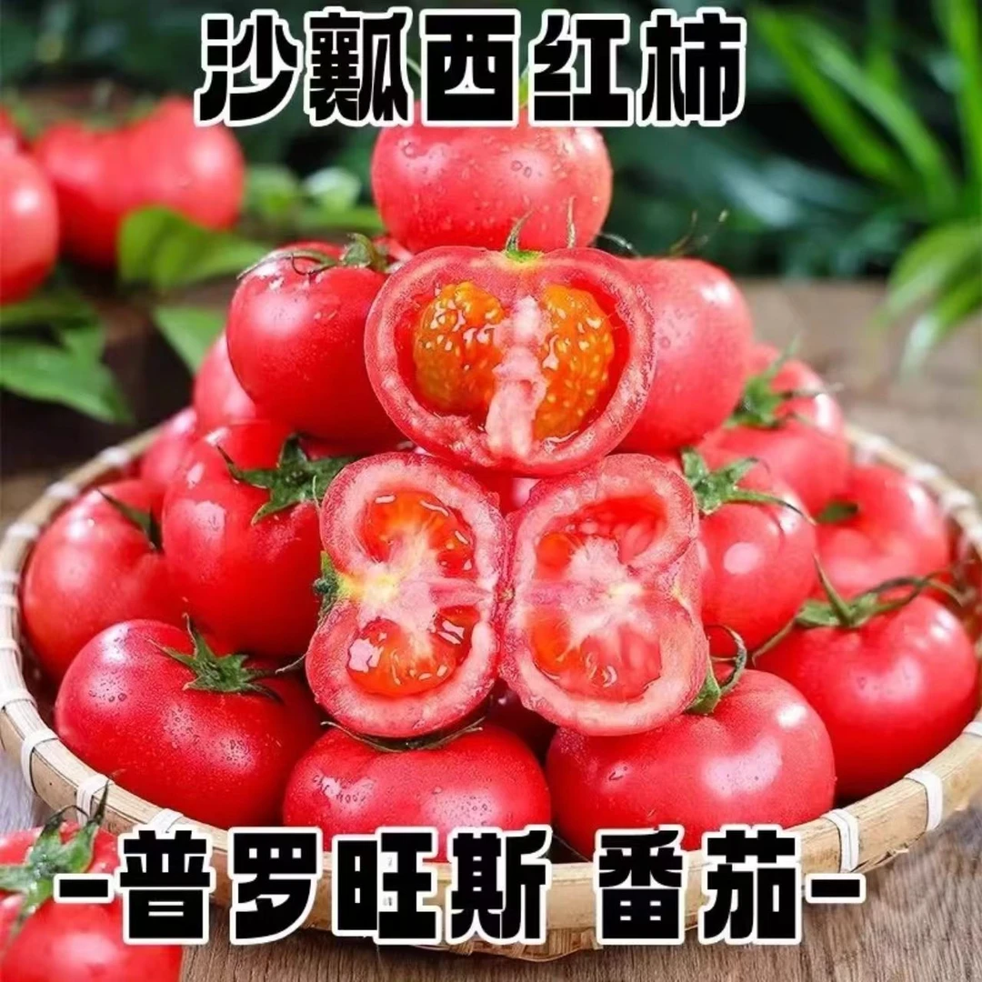 陕西泾阳普罗旺斯水果西红柿自然成熟生吃沙瓤多汁新鲜番茄包邮