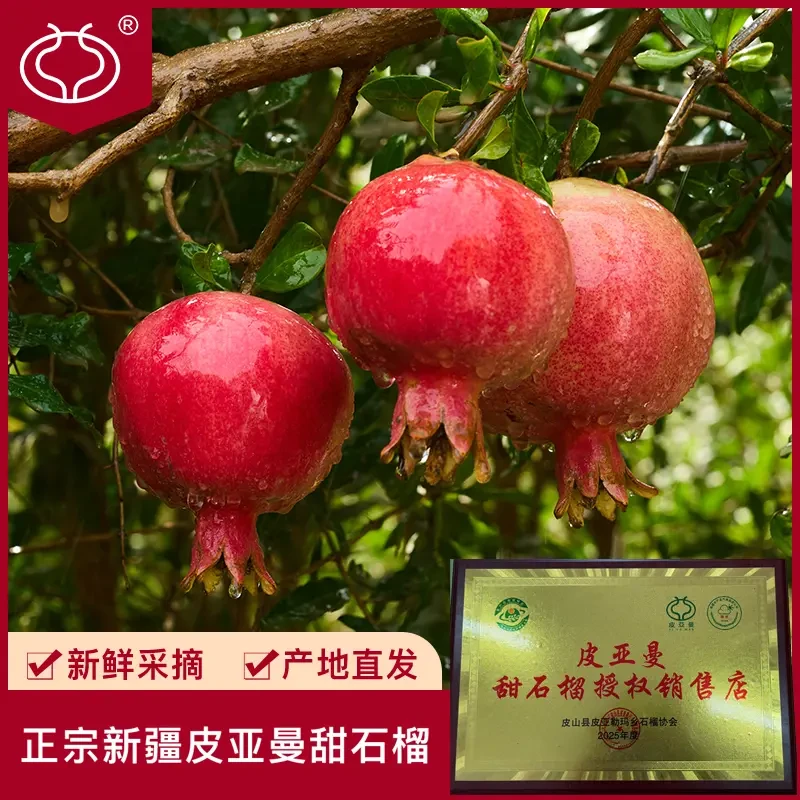 皮亚曼【新疆甜石榴】和田皮山皮亚勒玛乡产地直发香甜多汁包邮水果