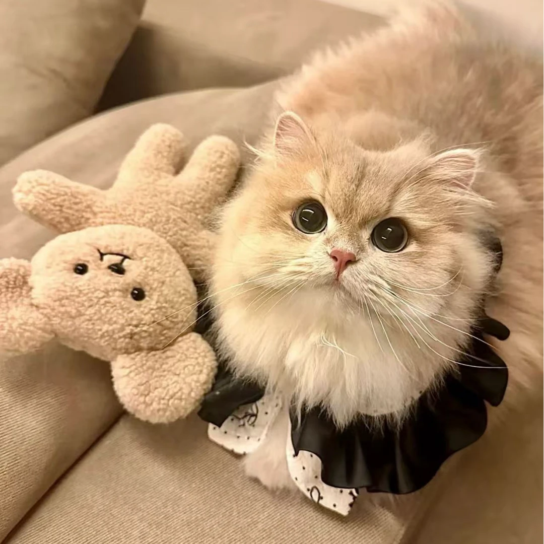 超值猫猫补运费专用