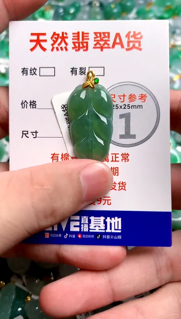 翡翠18K金镶嵌颈饰0732208891