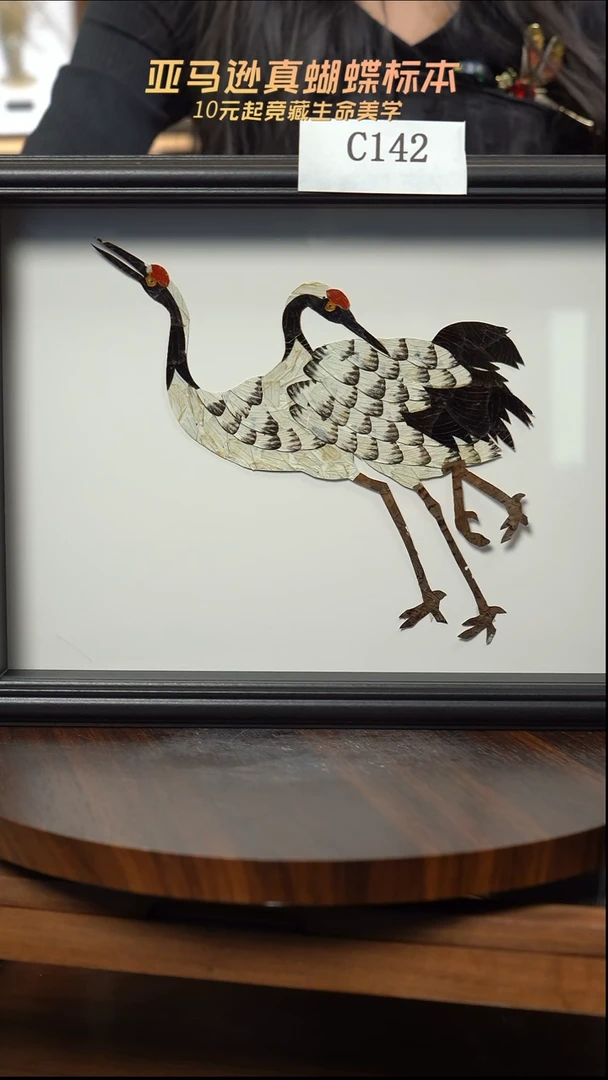 蝴蝶翅膀蝶翅画竞拍c142