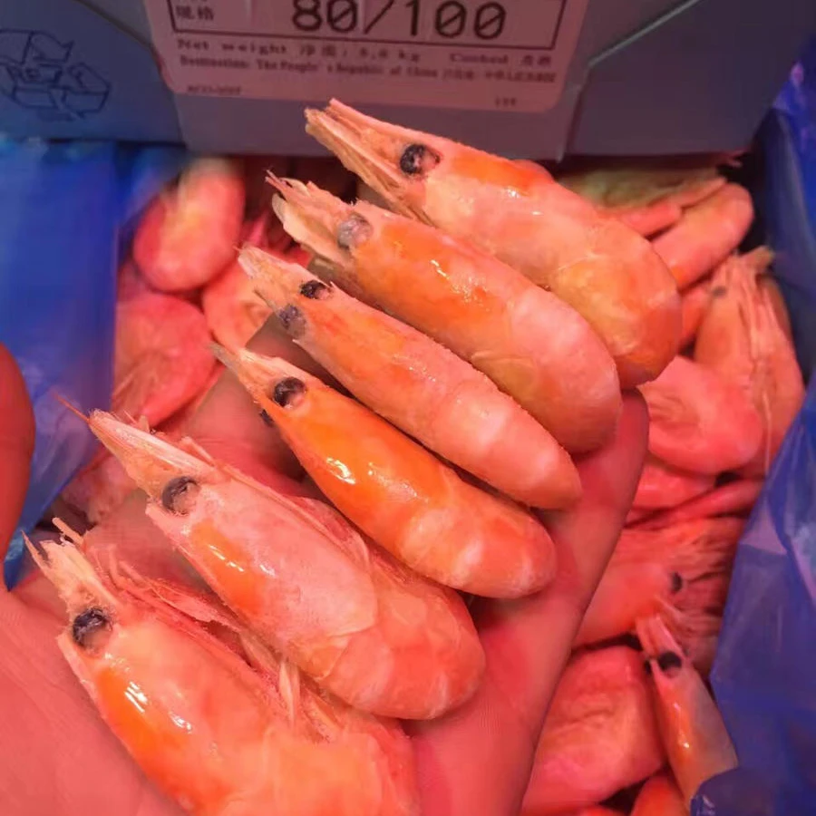 9月捕捞北极熊80-100头籽期北极甜虾净重3斤90%头籽