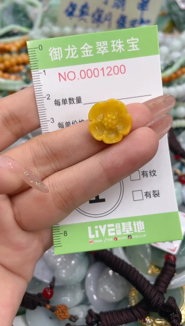 颈饰未镶嵌翡翠018