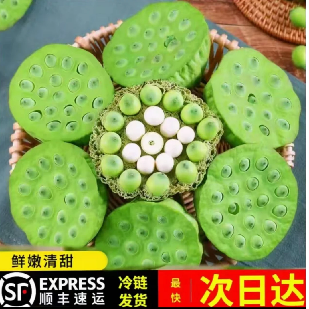 湖北洪湖新鲜莲蓬现摘现发甜嫩莲子米生吃清香脆甜应季水果
