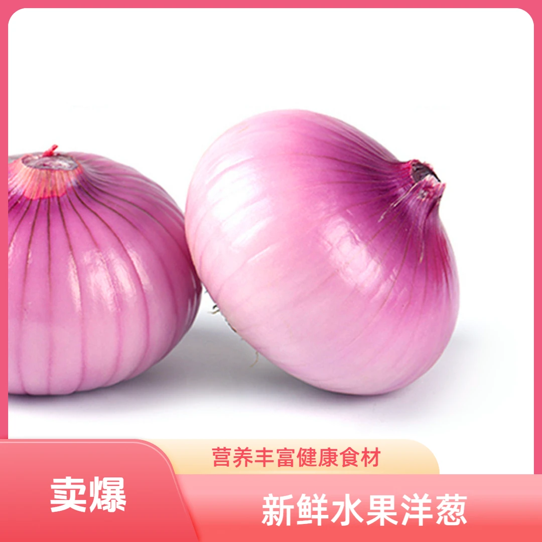 紫皮红洋葱自有农场有机肥种植