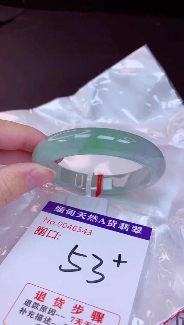 未镶嵌手镯翡翠53