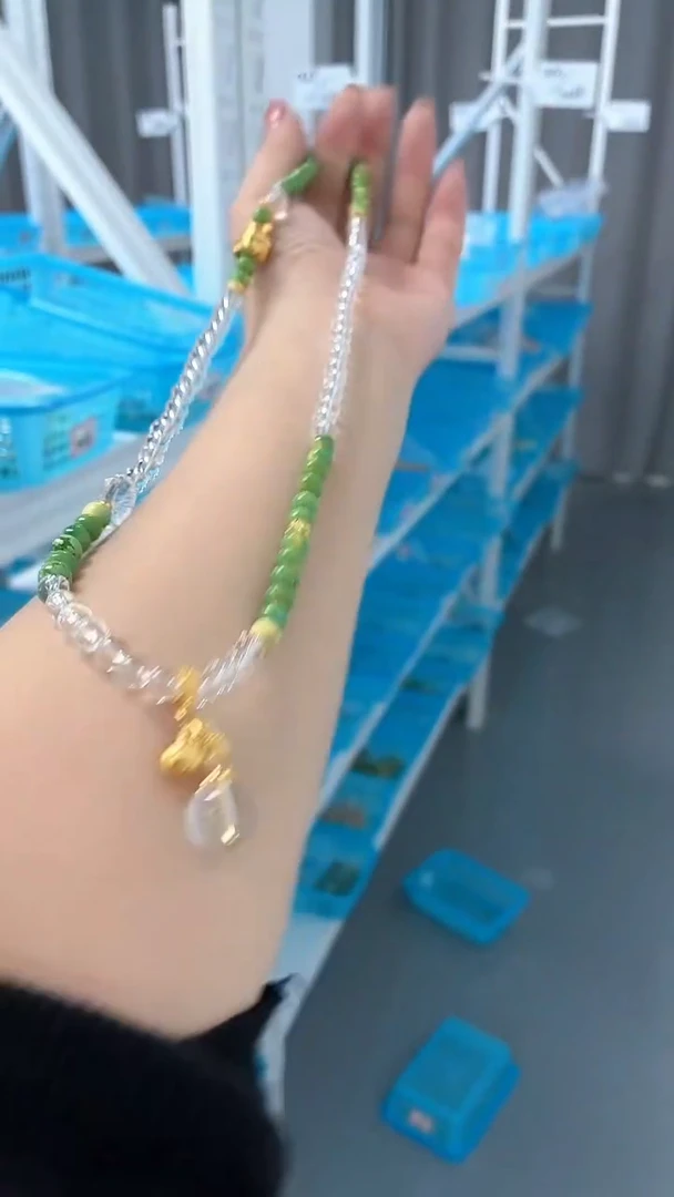 【慧慧甄选】高端轻奢多样性发货 HF2811S978