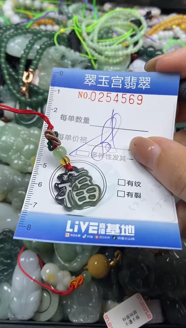 颈饰未镶嵌翡翠闪购C0254569多样性发其一