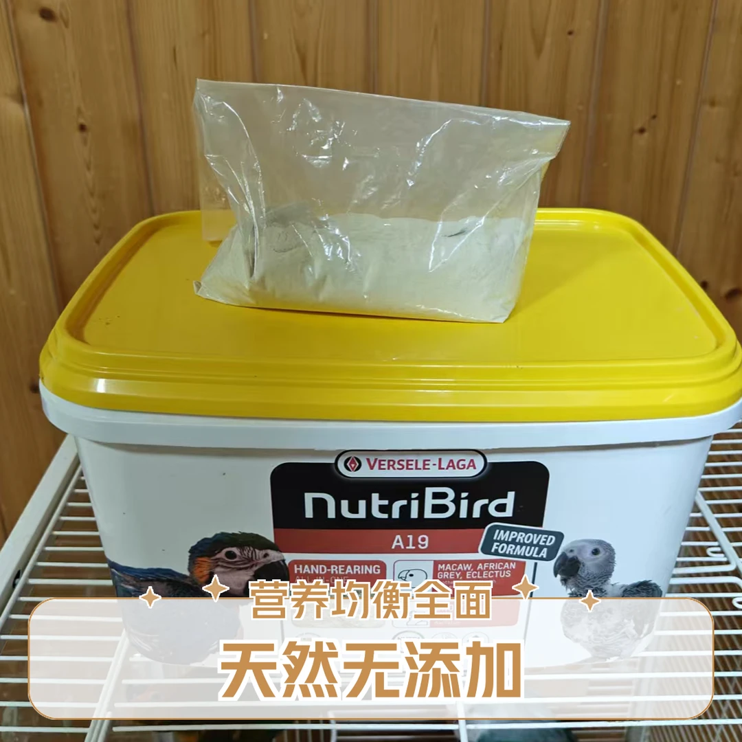 A19哈根1：1混合鹦鹉奶半斤