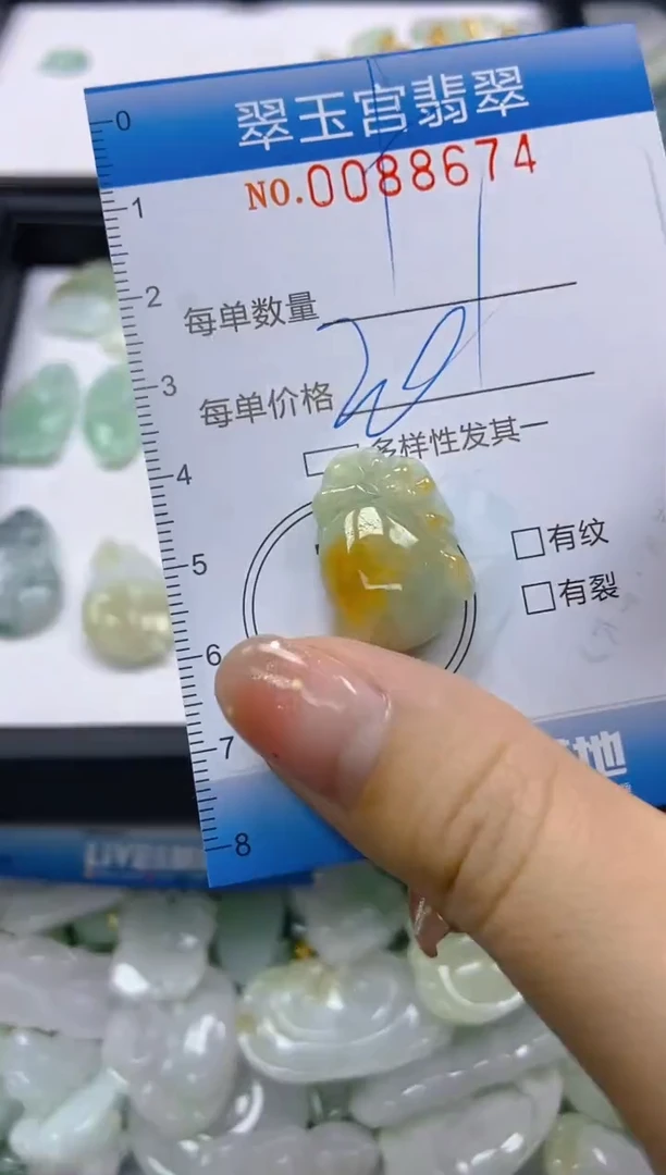 【闪购商品】翡翠颈饰未镶嵌闪购0088674