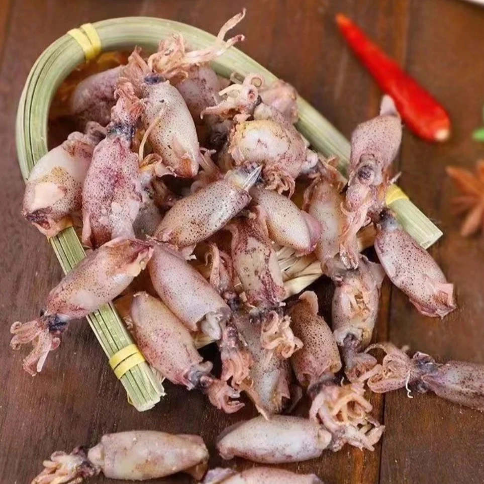 北海特产野生小海兔干新晒鱿鱼仔日晒风干笔筒鱼淡干海味海鲜