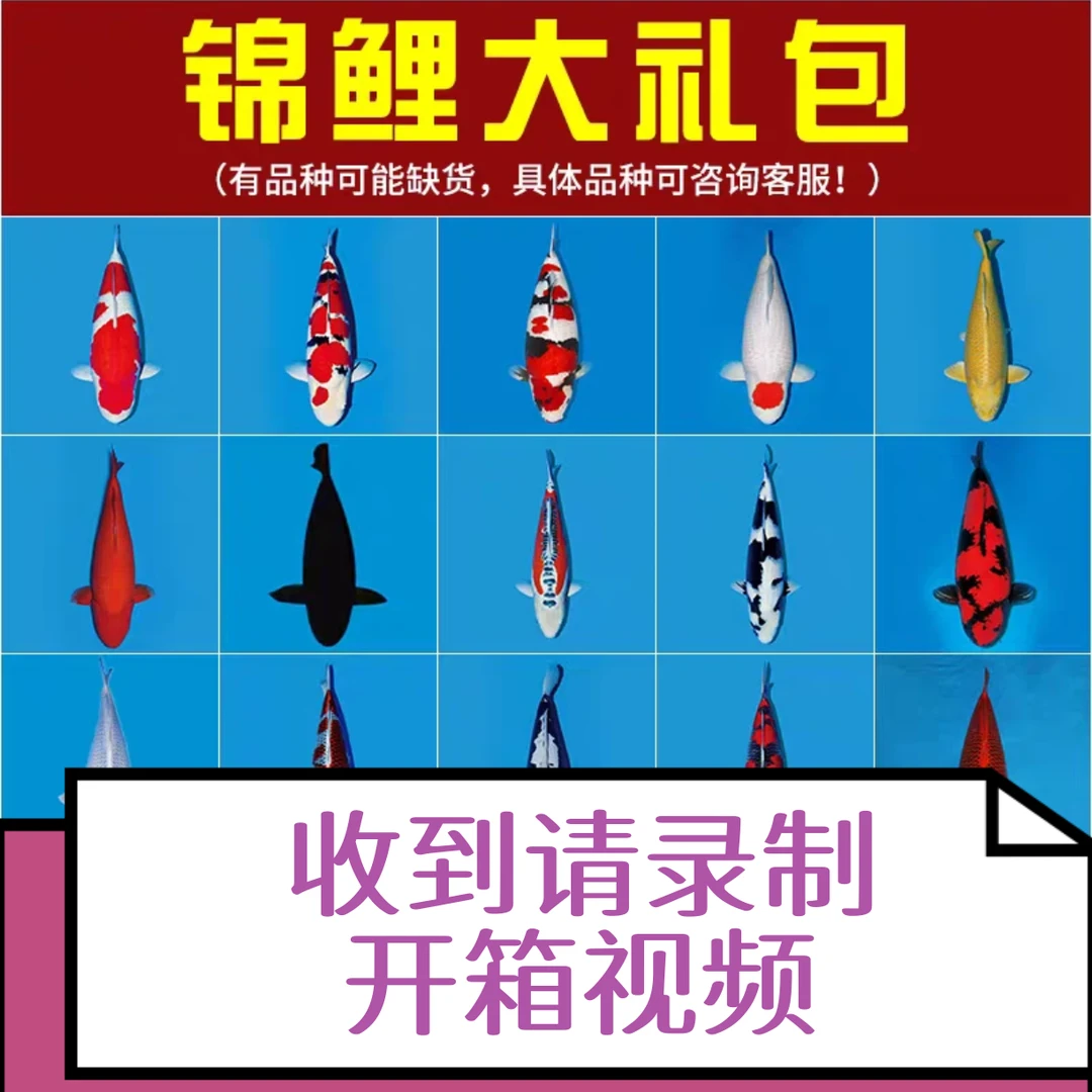 （录开箱视频）莲姐锦鲤直播801-900