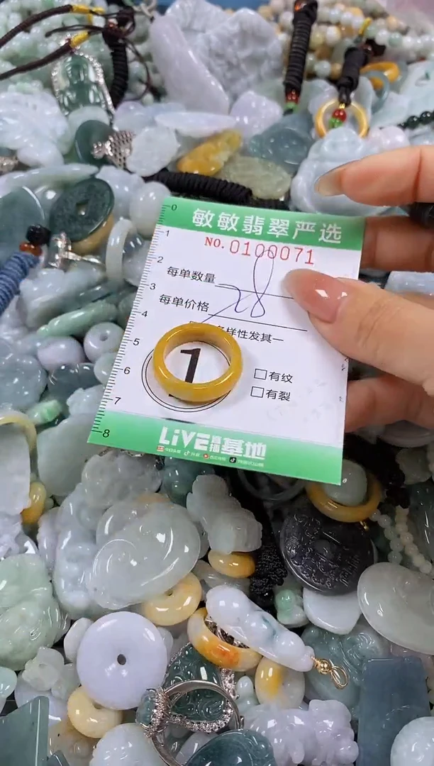 【闪购商品】翡翠颈饰未镶嵌闪购0100071多样性发其一