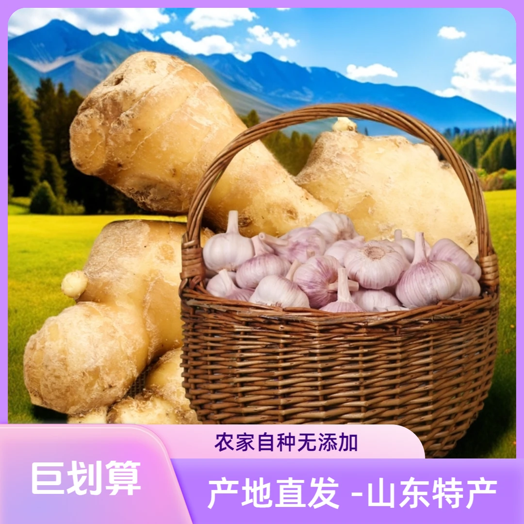 超值搭配组合 产地直发山东特产新紫皮干大蒜+风干大黄姜老姜