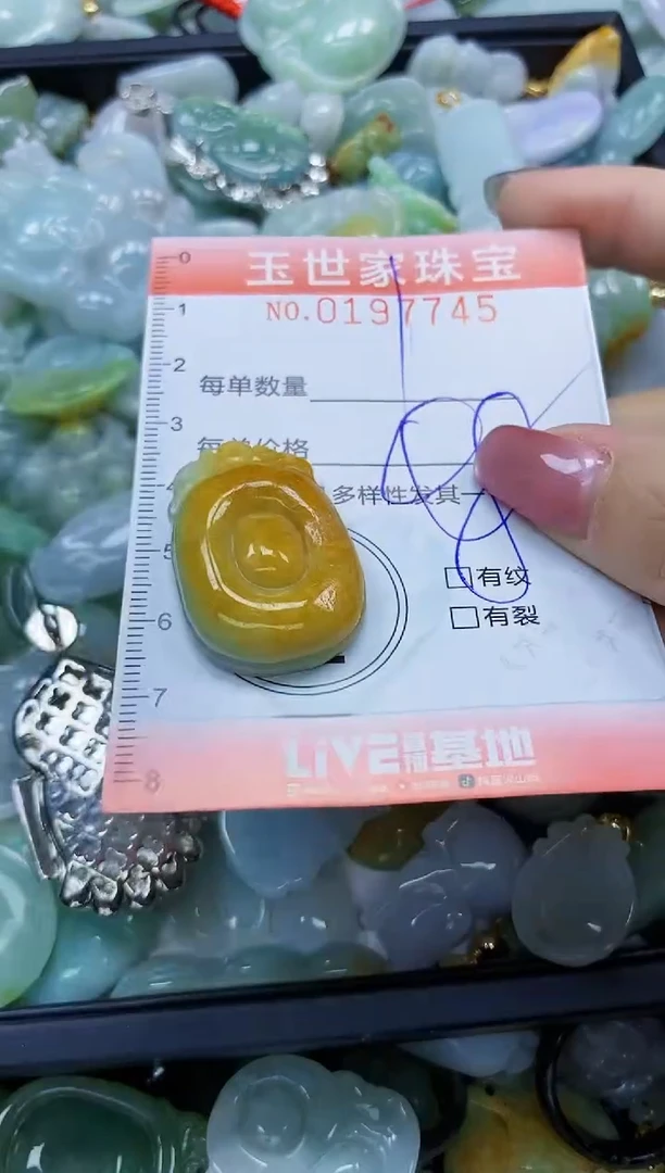 【闪购商品】翡翠颈饰未镶嵌闪购0197745