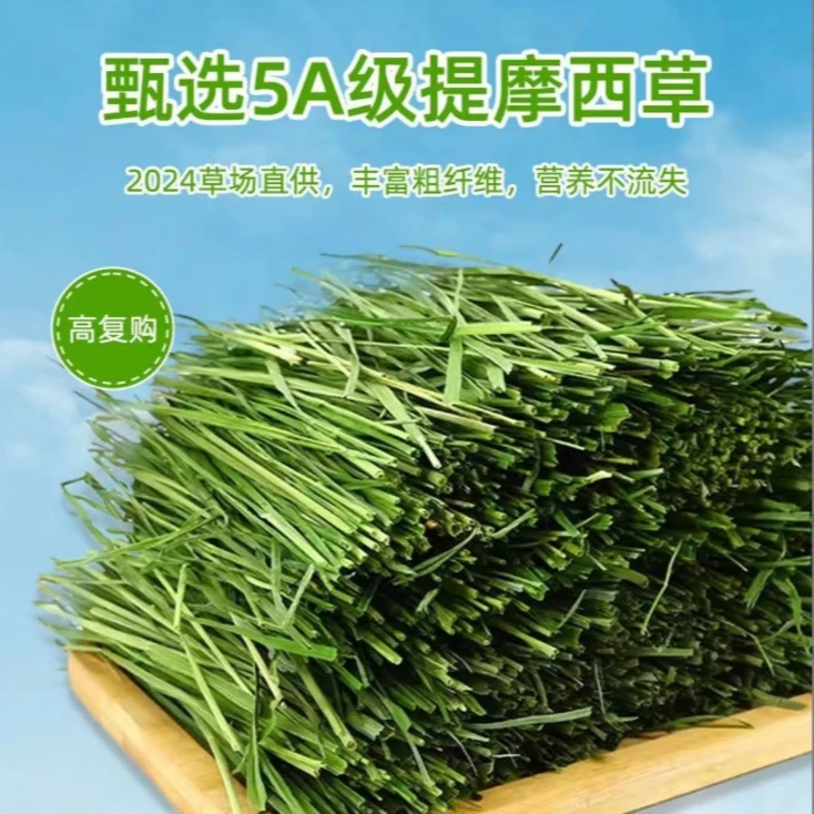 提摩西草2024年烘干新草