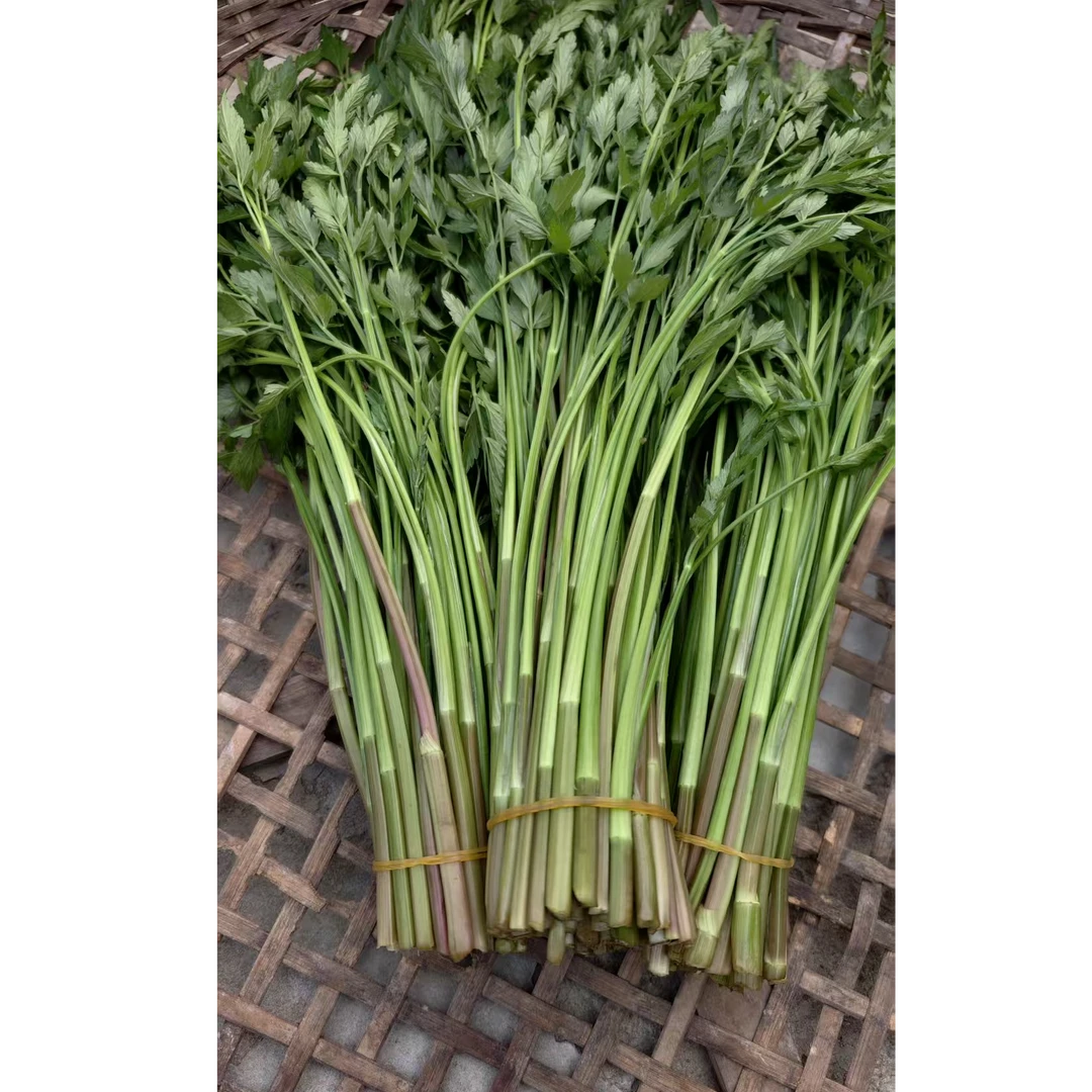 农家野水芹浓香脆嫩应季蔬菜露天自然生长