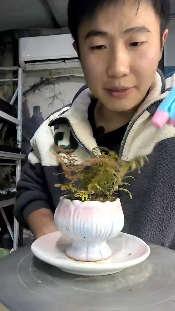 C***s中青园艺一物一拍161