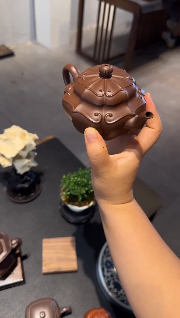 茶壶紫砂证**达向阳而生