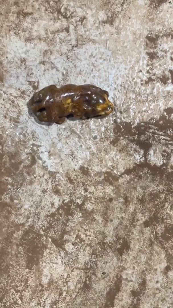 瓷片手工，手绘，陶瓷
