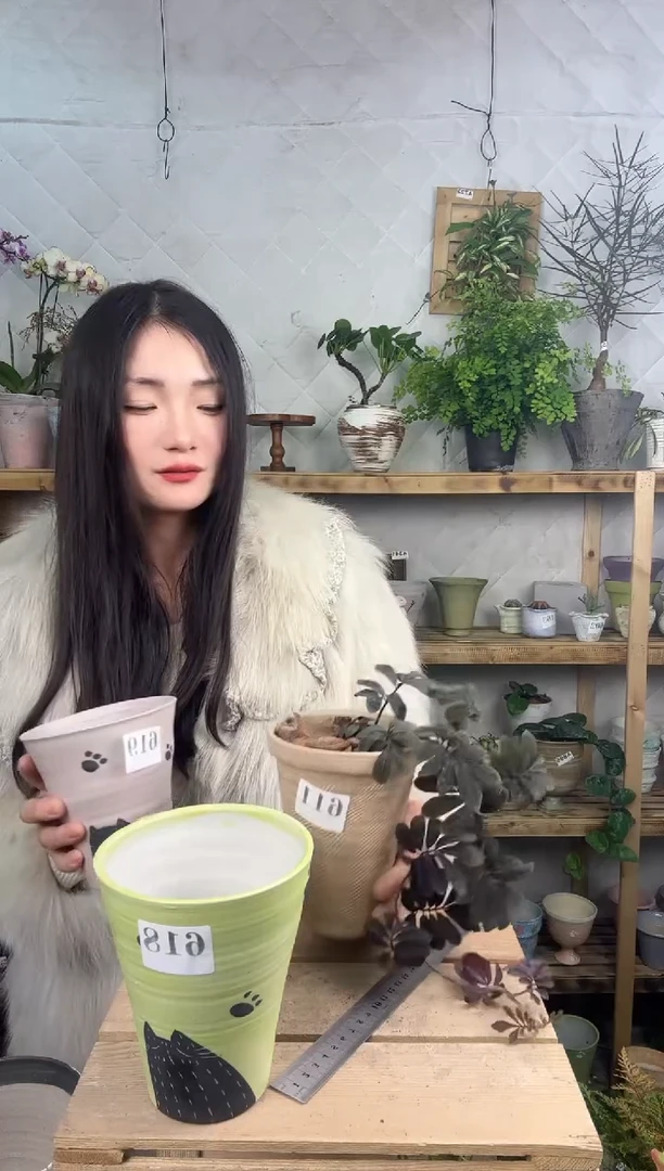 无花朵编号   618景德镇手工花盆