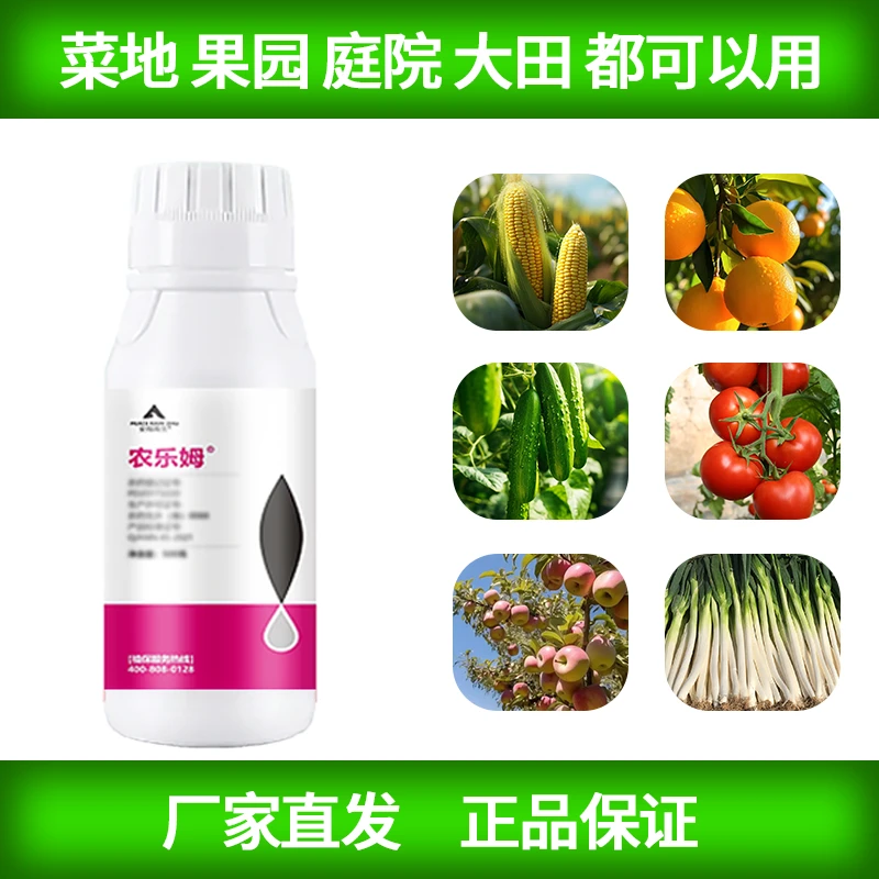 大田经作 瓜果蔬菜 花卉绿植通用复合肥虱