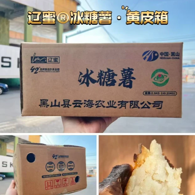 辽蜜辽宁黑山地标特产 哈密白薯新鲜蜜薯香甜 蒸煮烤均可 粗粮