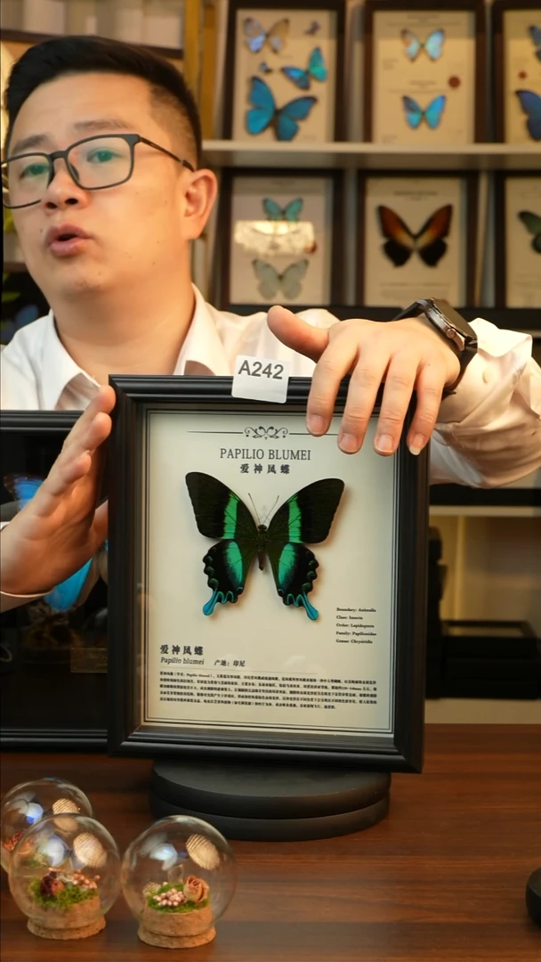 爱神凤蝶10欧式黑框A242