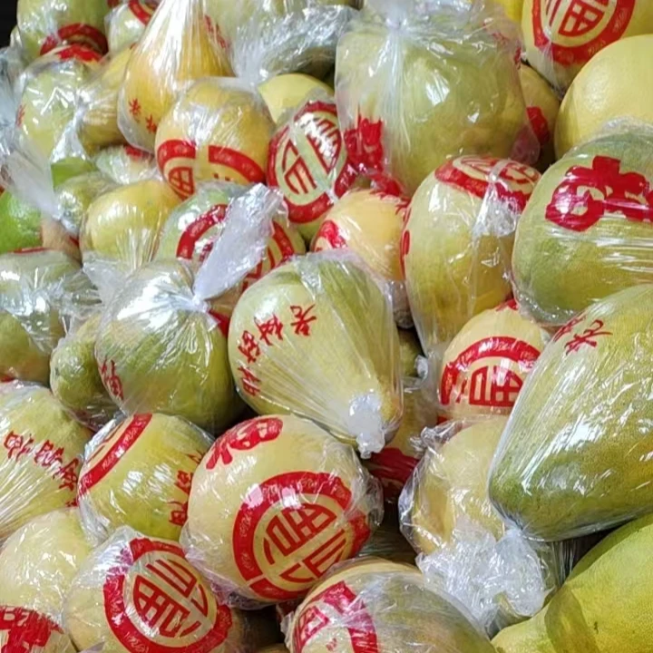 梅州（套袋老树果沙田柚尝鲜装）当季应季水果柚子孕妇水果一件包邮