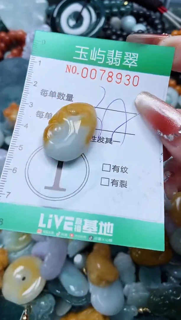 【闪购商品】翡翠颈饰未镶嵌闪购0078930