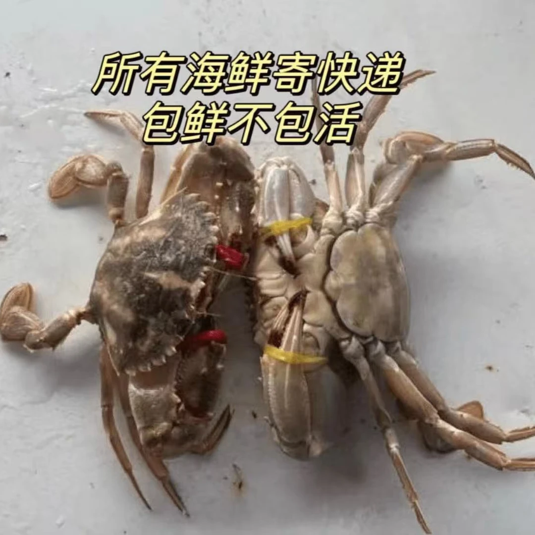 【保鲜不保活】本地黑沿子花盖蟹小鬼螃蟹一斤8-12只公母混发