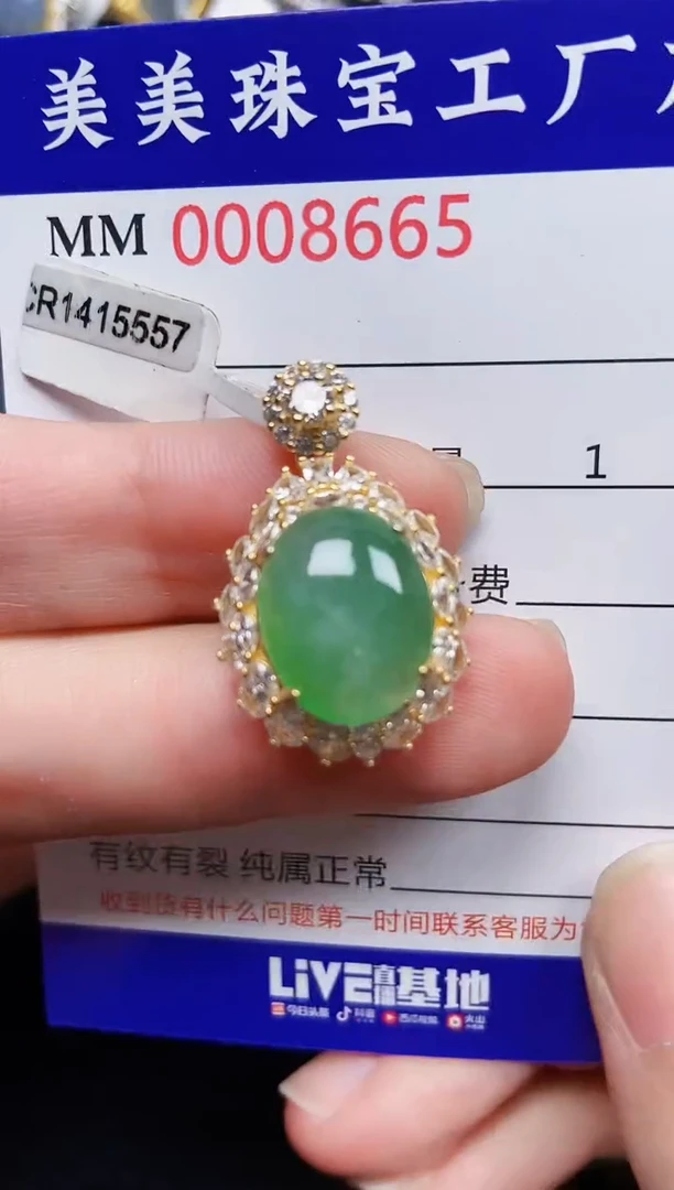 翡翠银S925镶嵌颈饰8665