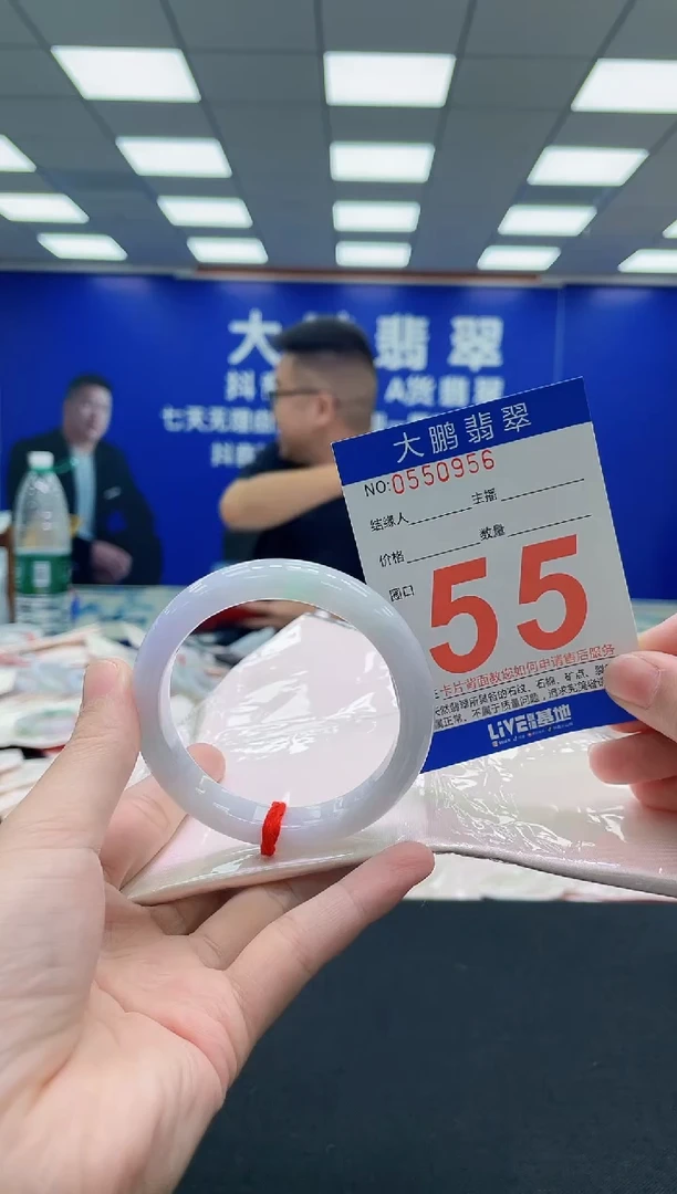 未镶嵌手镯翡翠AAAAAAAAA