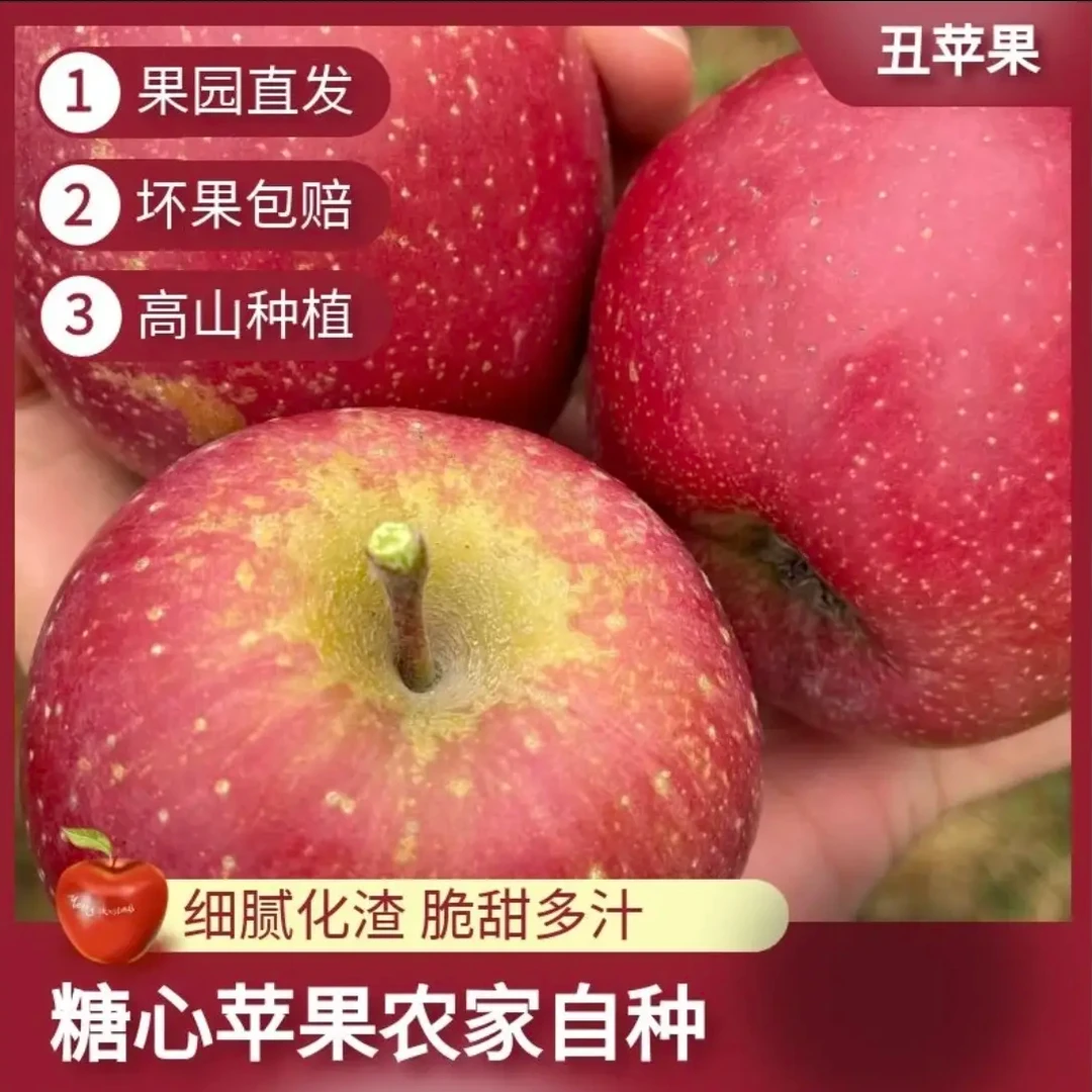 云南昭通丑苹果冰糖心现摘现发脆甜多汁水果DR