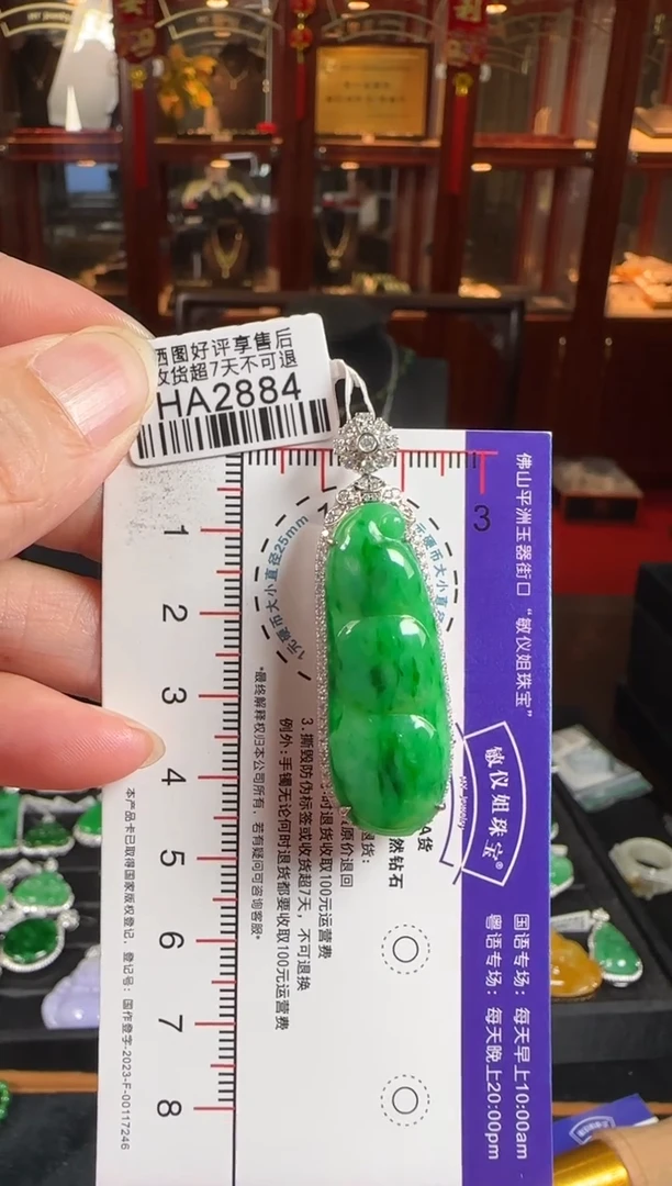 颈饰18K金镶嵌翡翠HA2884辣绿豆豆