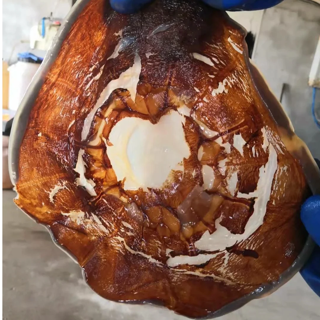 (顺丰包邮）24年新货吕四本港野生红皮子海蜇皮 脆嫩海鲜凉拌菜5斤