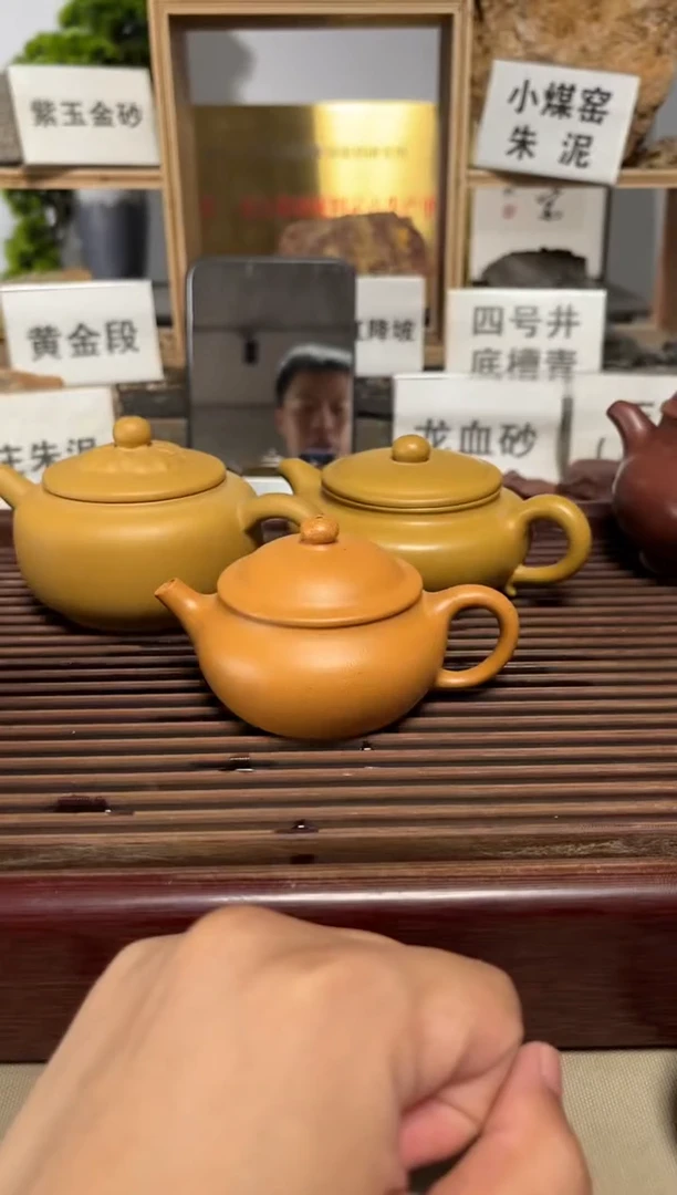 茶壶紫砂黄金段矮柿园