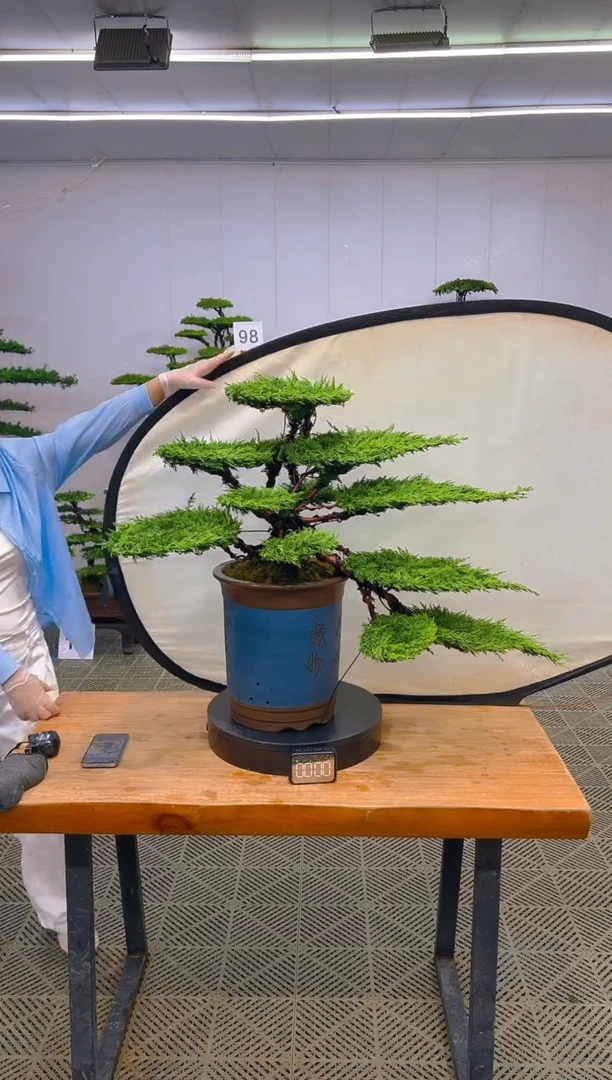 无花朵一物一拍一物一拍