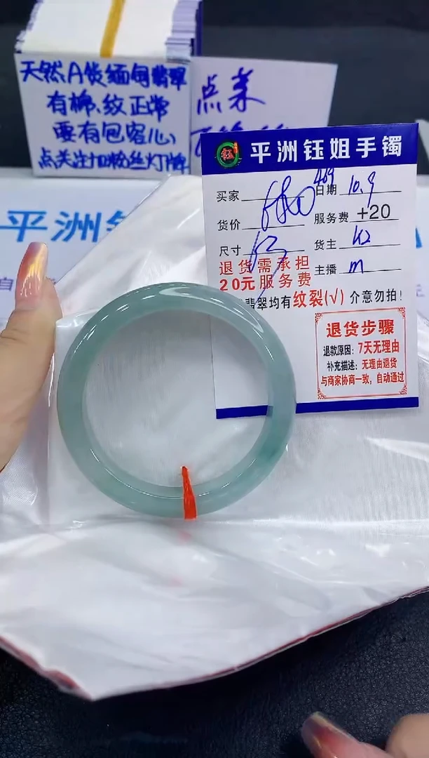 未镶嵌手镯翡翠11111