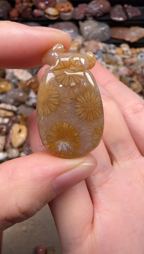 硅化珊瑚（珊瑚玉）未镶嵌颈饰779