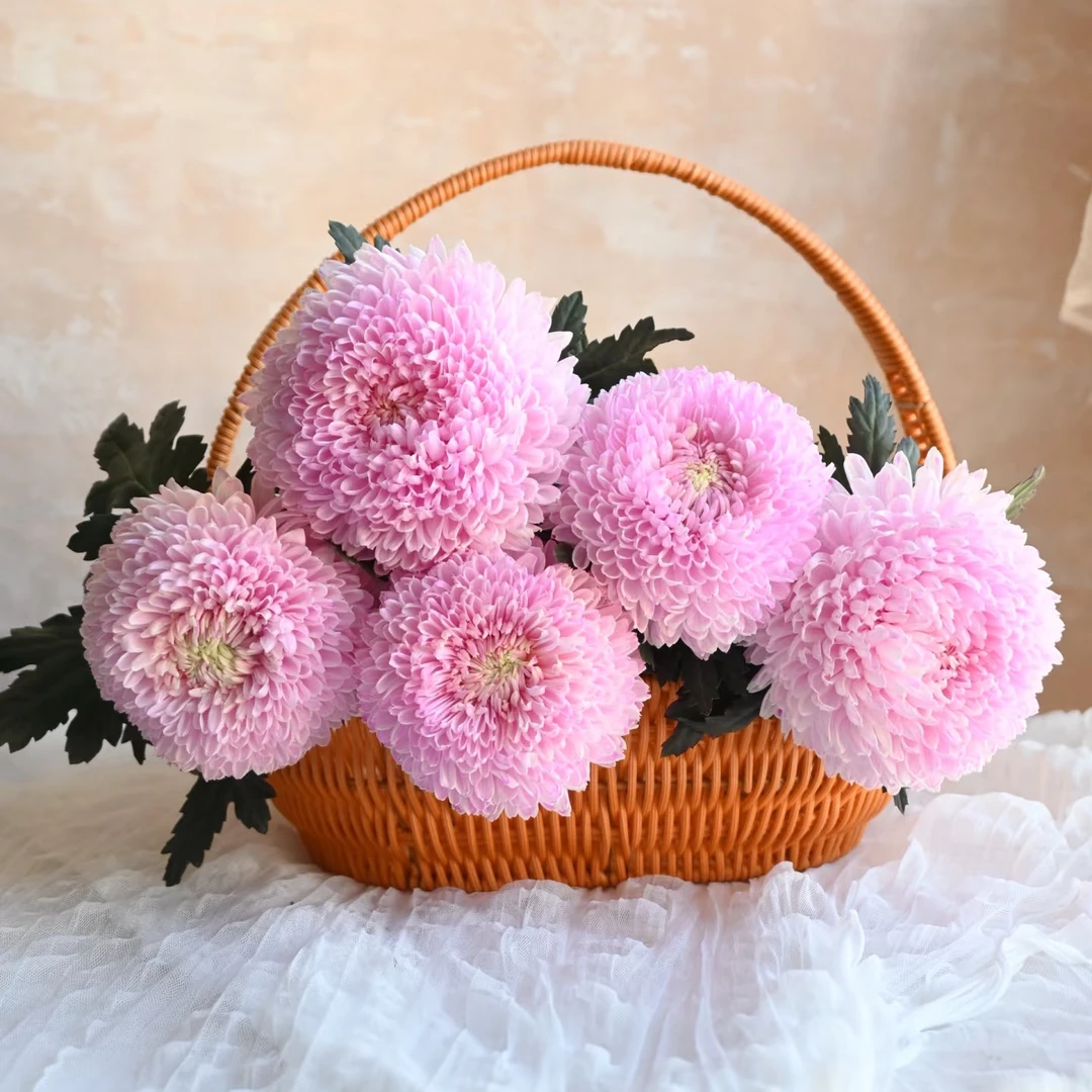 【粉色牡丹菊5枝】全场鲜花任意满两单升级冷链加配草 三单送花瓶