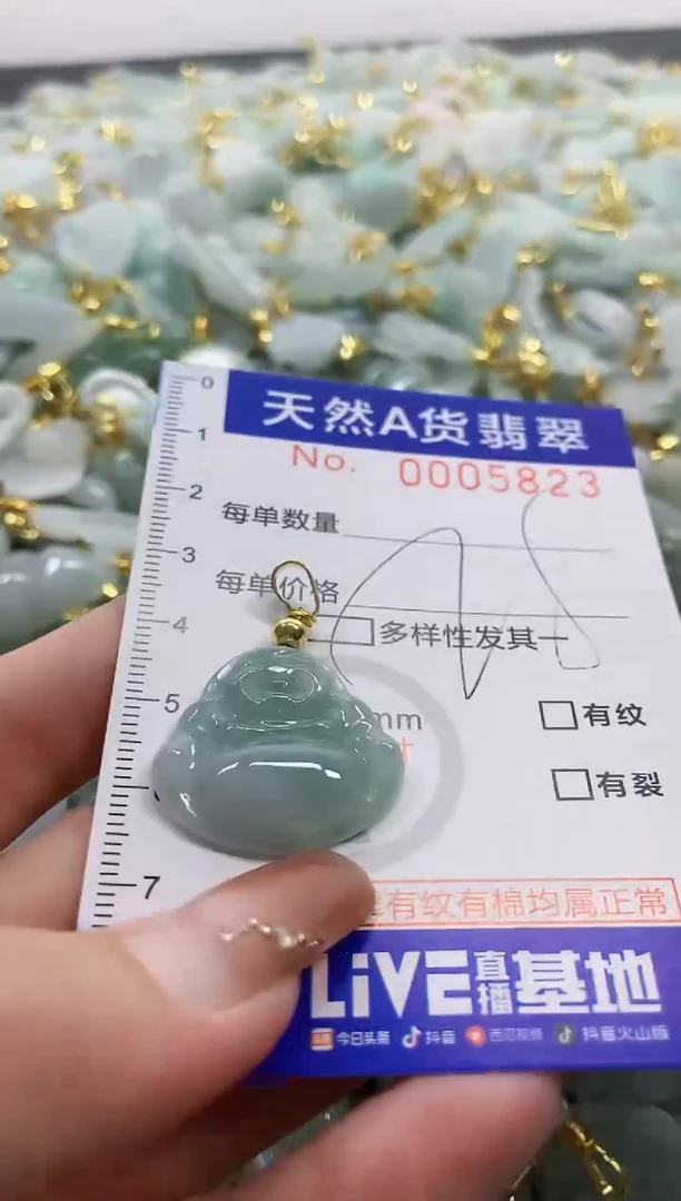 颈饰未镶嵌翡翠天然A货翡翠
