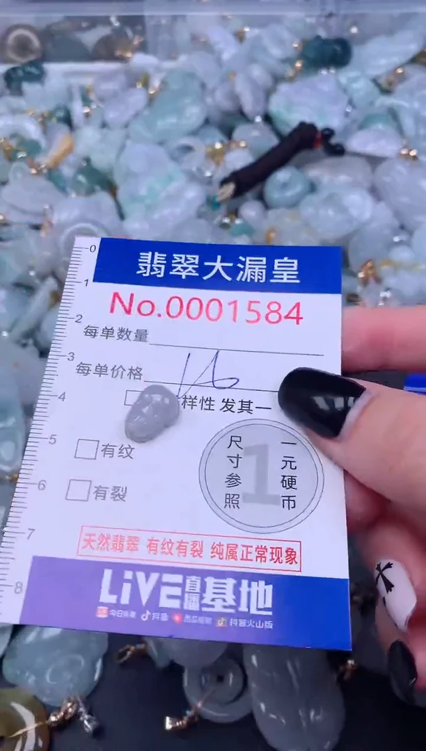 颈饰未镶嵌翡翠1584