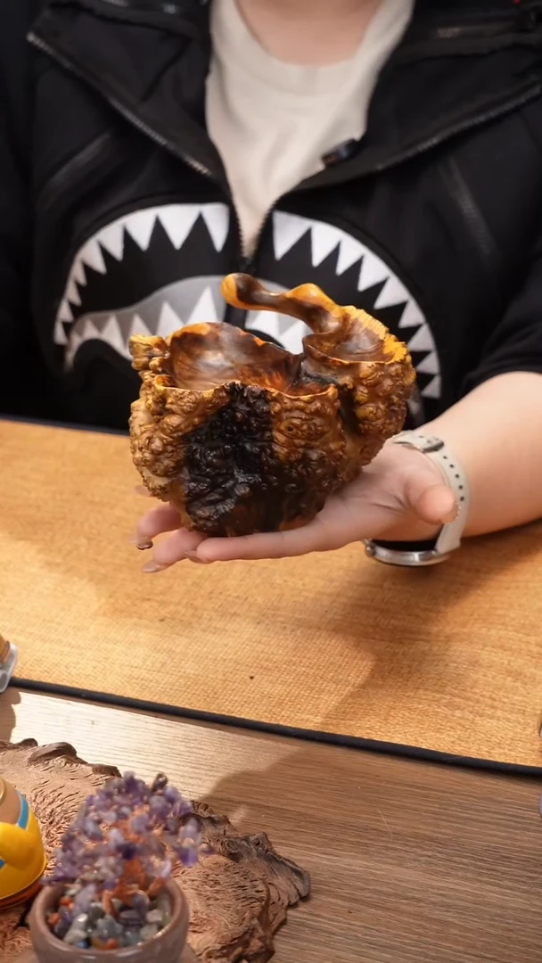 14号云小屋麻梨香插