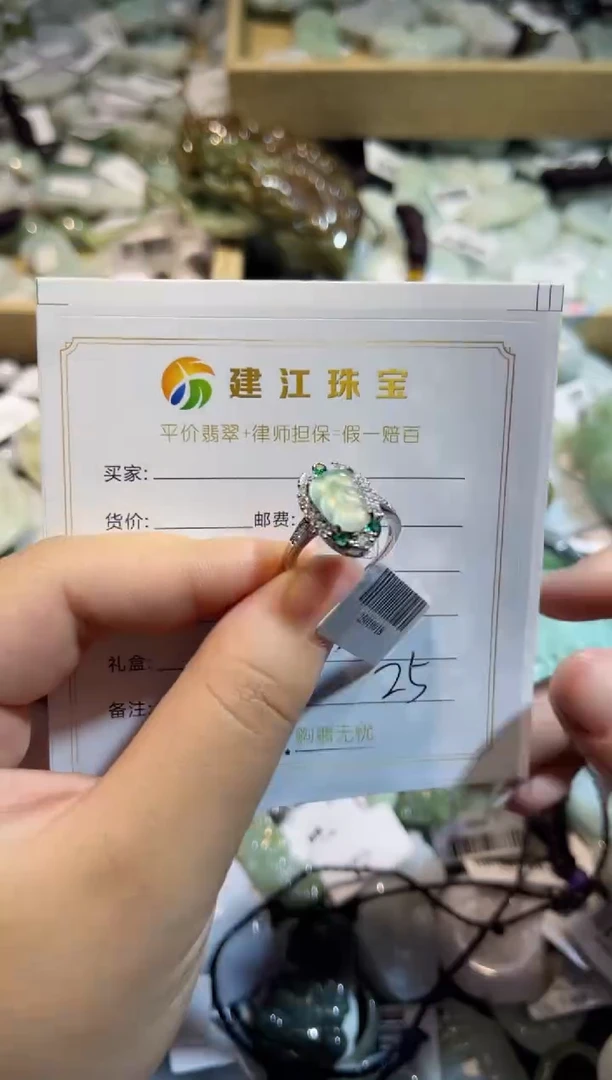 【闪购商品】翡翠颈饰未镶嵌00000025