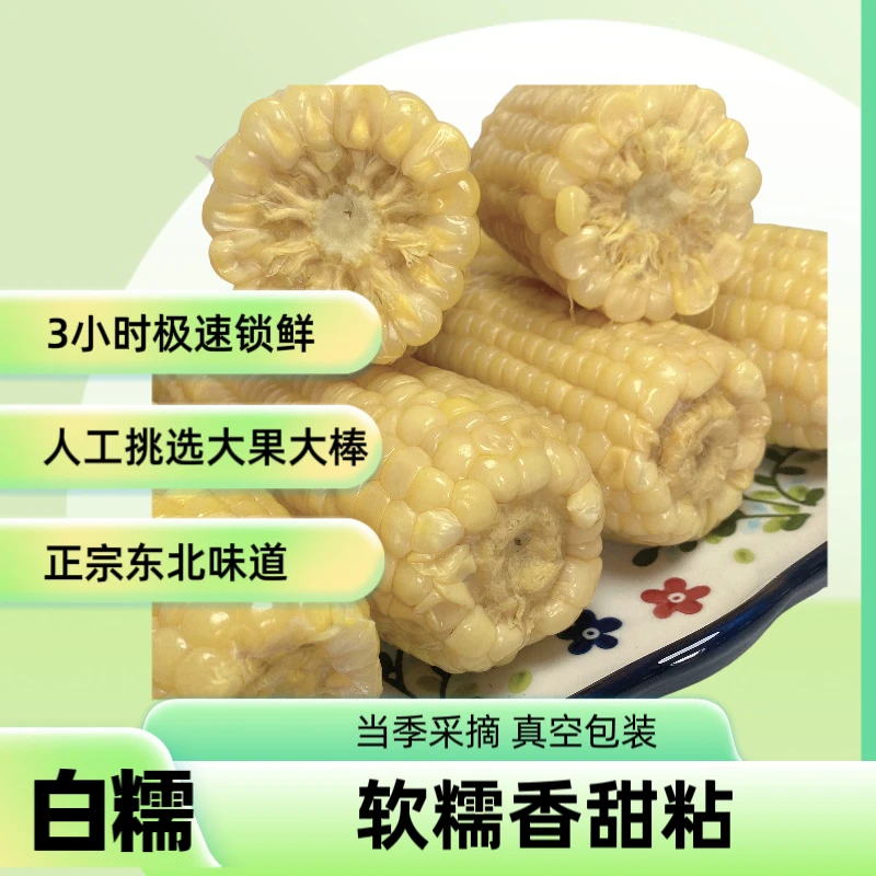 【试吃2根】东北白糯玉米粗粮粘苞米早餐铝箔软糯香甜10根净重玉米