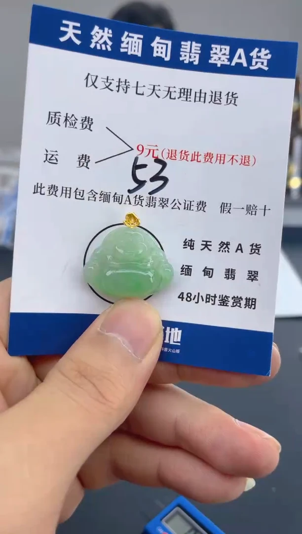 颈饰18K金镶嵌翡翠天然A货翡翠