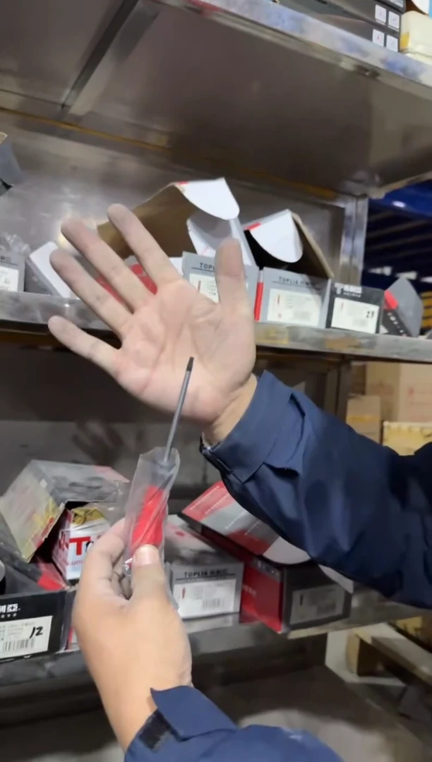 拓利亚SD08C029（花）一4*T15*75旋转螺丝刀