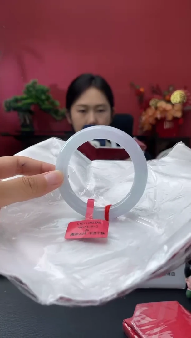 未镶嵌手镯翡翠5