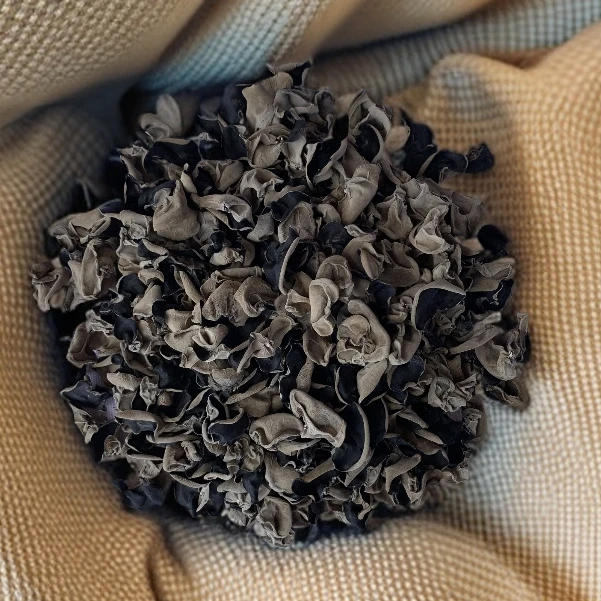 春季黑木耳500g/小碗耳/大片组合装